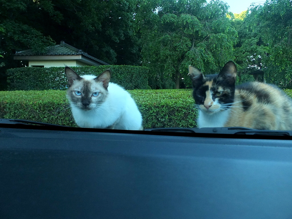 ドキッ・・・・・