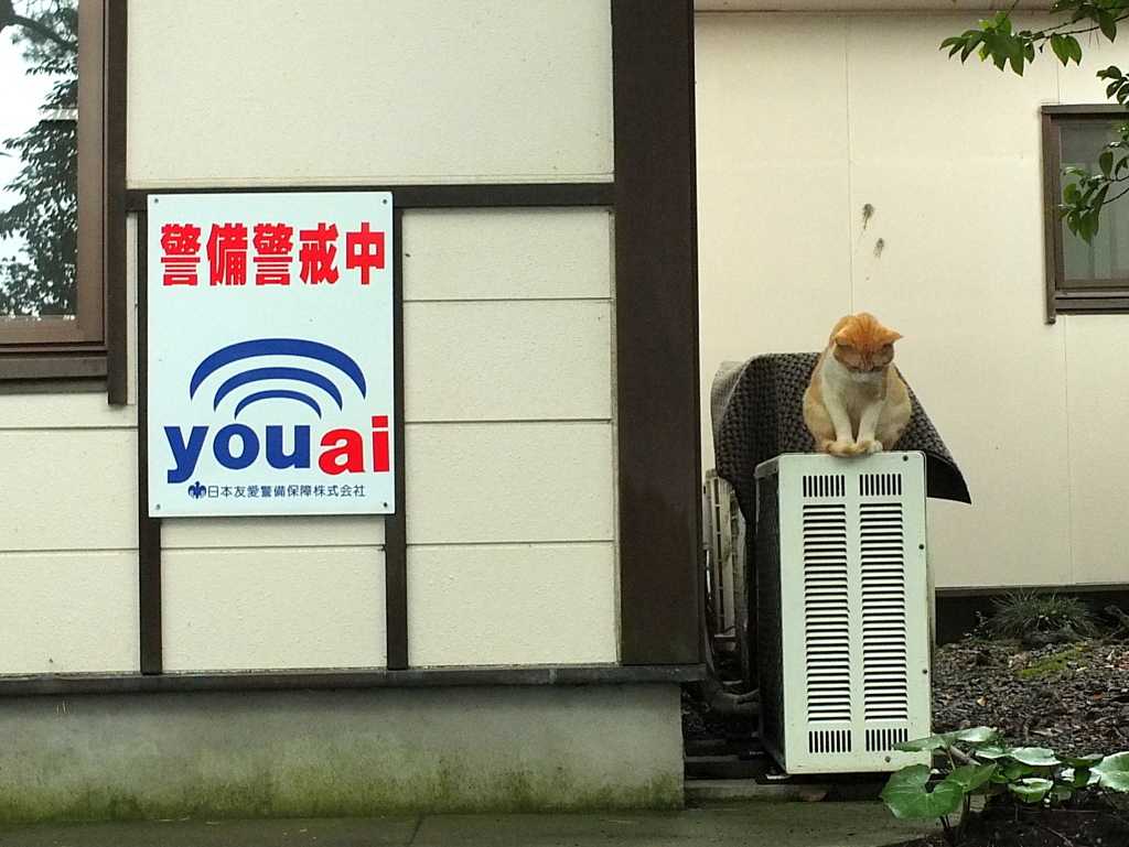 警備警戒中