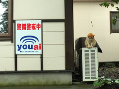 警備警戒中