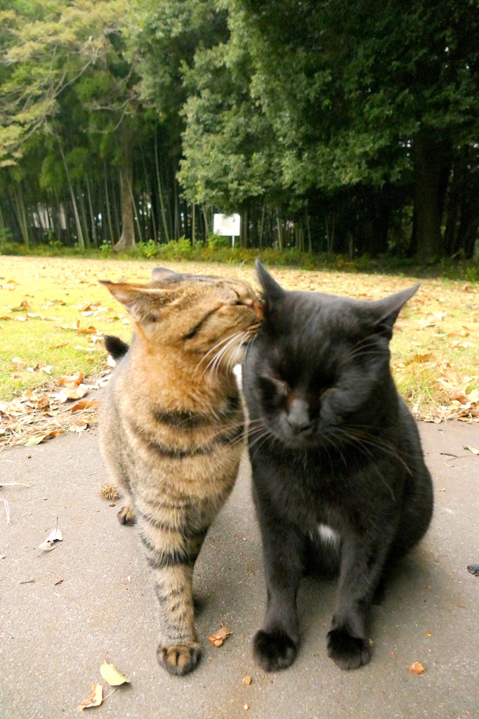 ないしょだよ。