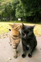 ないしょだよ。