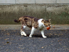 子らのもとへ