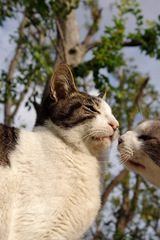 ちどり公園09-12-13  K200D 169