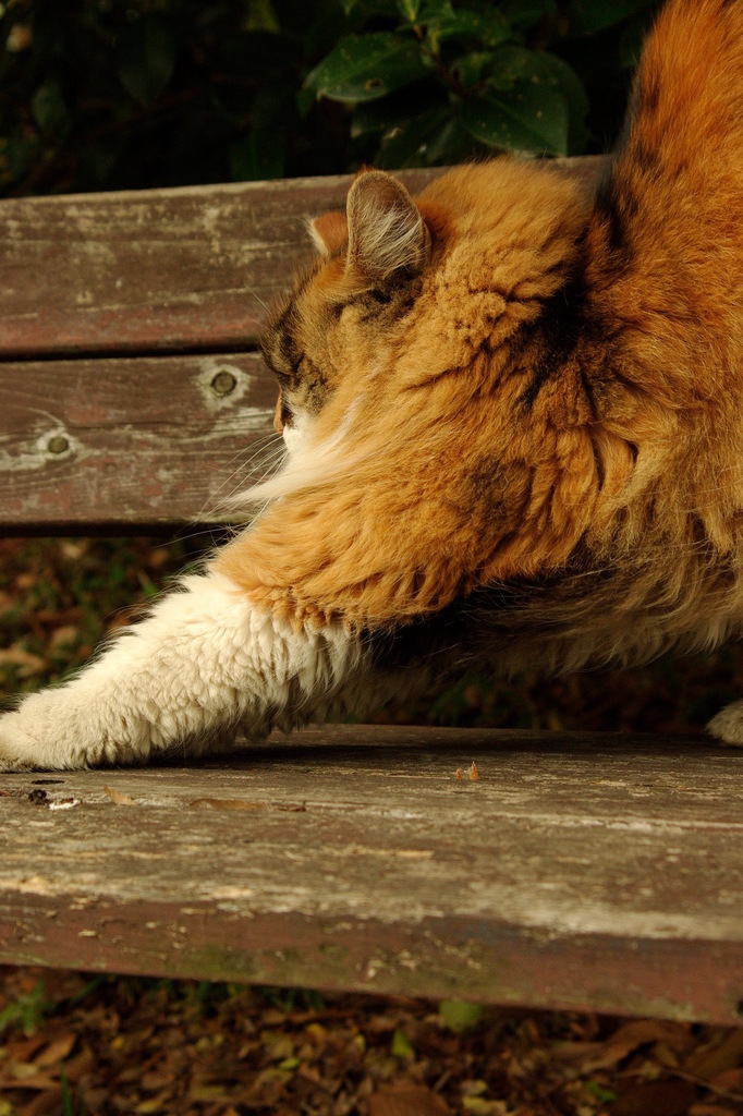 ちどり公園09-12-13  K200D 176