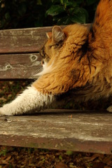 ちどり公園09-12-13  K200D 176