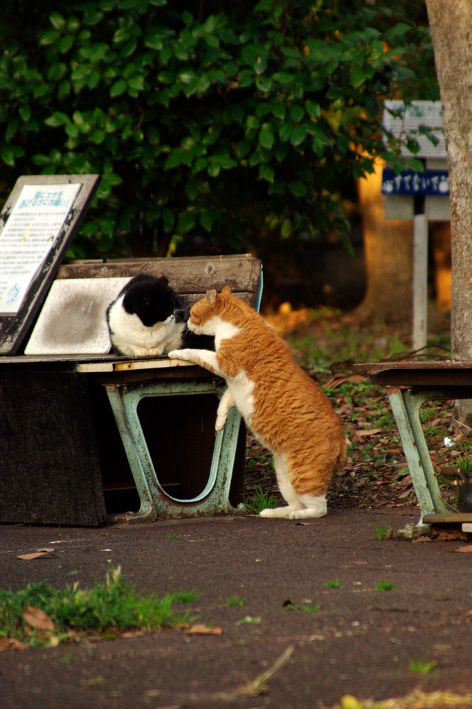 ちどり公園09-12-13  K200D 076