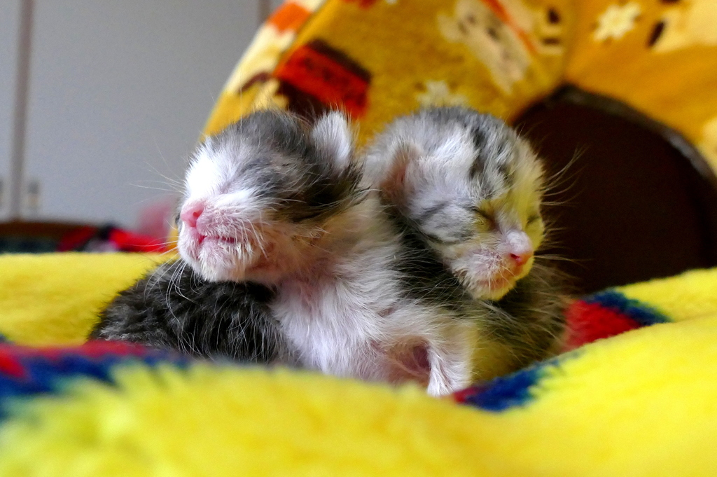 生きたいよ・・・・・