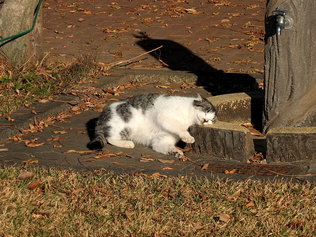 13-12-07    X-S1 072