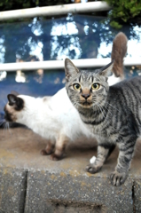 15-02-14    D300s 003