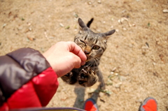 痛っ・・・・くないよ～ん！