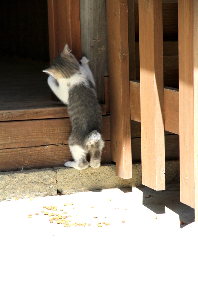 小さな背中