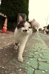 15-04-04   DSC-RX10 007