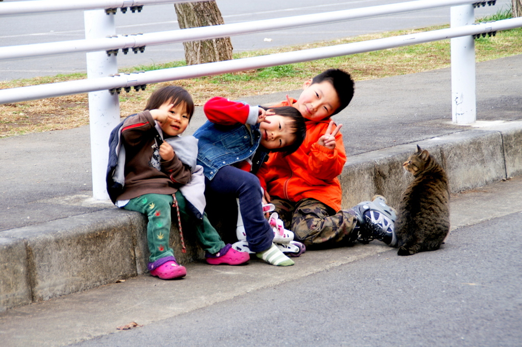 主役はにゃんこです。