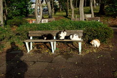 ちどり公園09-12-13  K200D 181