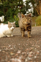 ちどり公園09-12-13  K200D 068