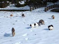 14-02-16    X-S1-2 067