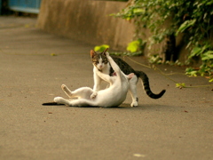 10-09-14  istDs2 048