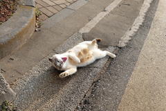 おはよ～！