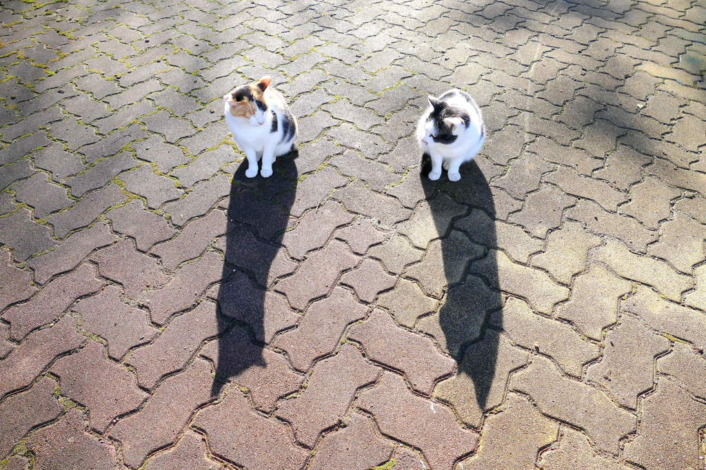 ふたり