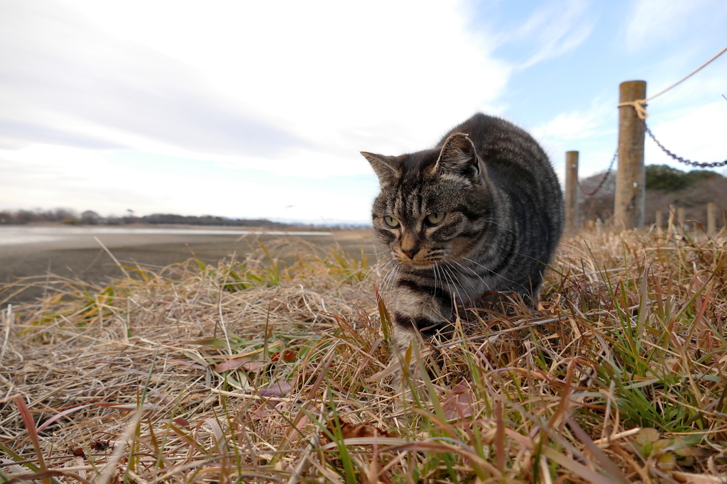 15-01-02    DMC-FZ1000 082
