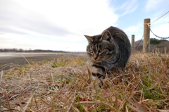 15-01-02    DMC-FZ1000 082