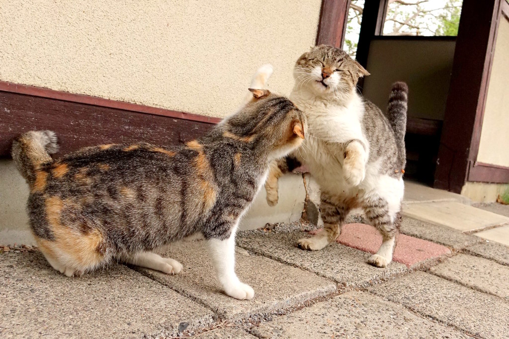 母ちゃんは怖いよ。