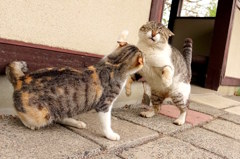 母ちゃんは怖いよ。