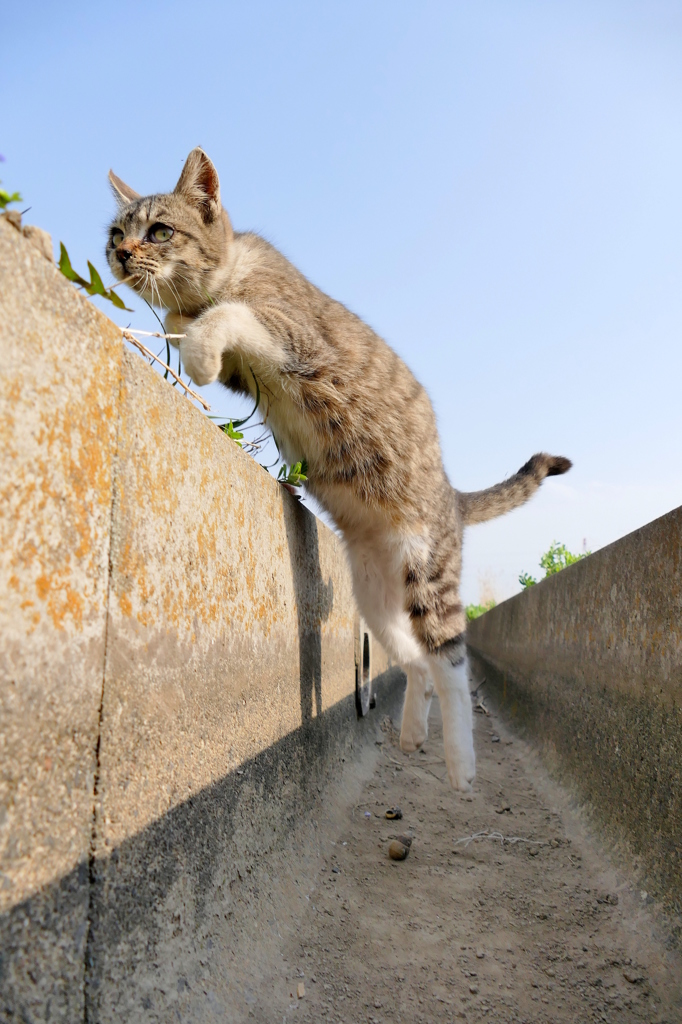ジャンプ！