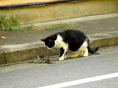 変な奴はいないか？