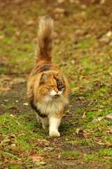 ちどり公園09-12-13  K200D 129