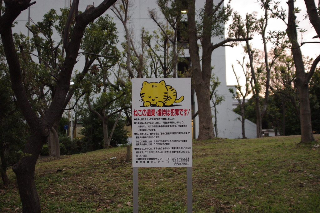 ちどり公園09-12-13  K200D 001