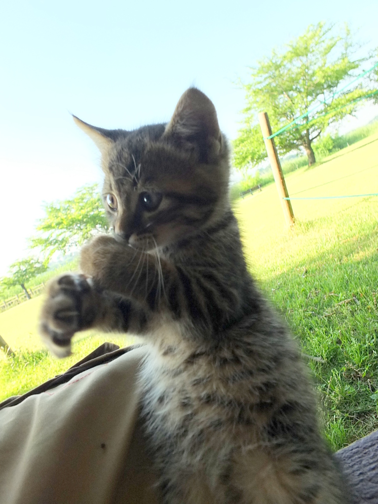 エアーサックス？