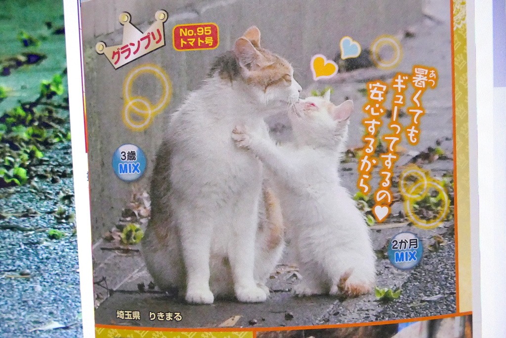 グランプリいただきました！