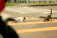 10-09-14  istDs2 057