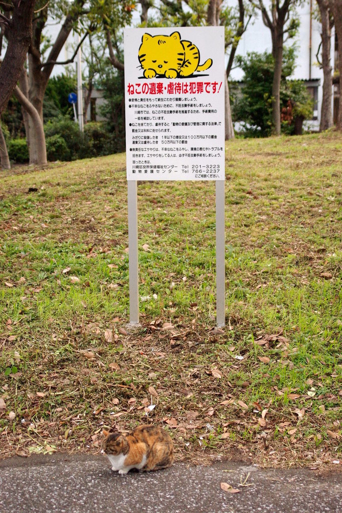 ちどり公園09-12-13  K200D 029