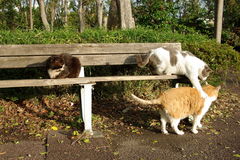 ちどり公園09-12-13  K200D 156