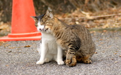 頭突き！