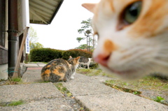 母ちゃんに怒られた（笑