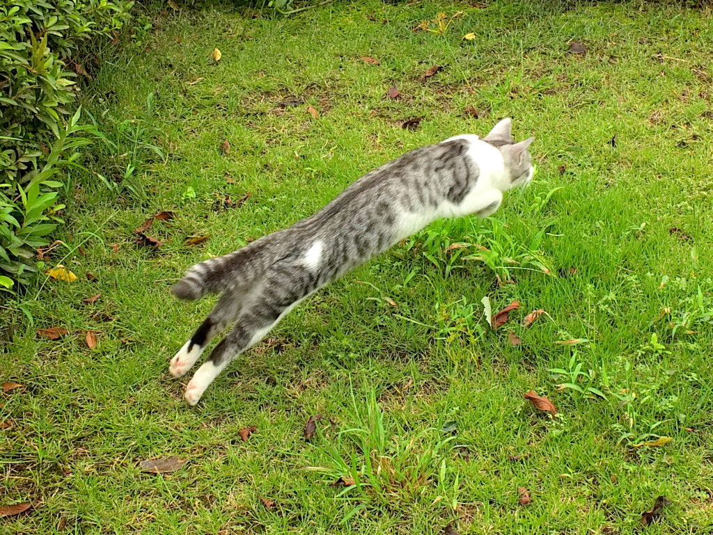 にょ～～～ん！
