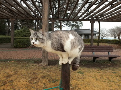 お～とっとっと・・・・・