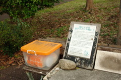 ちどり公園09-12-13  K200D 035