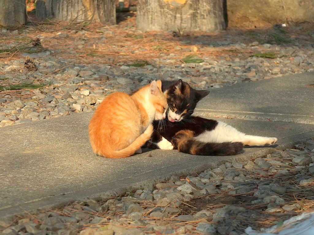 14-02-23    X-S1 064