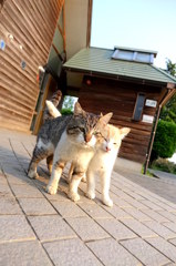 父ちゃん大好き。