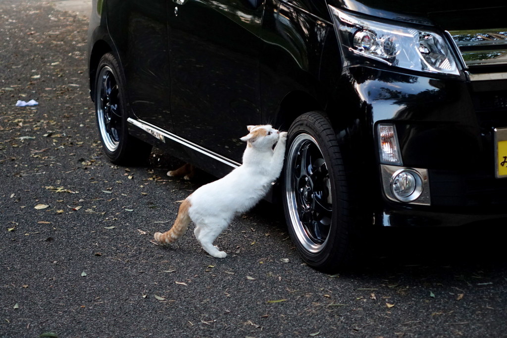 思いっきり・・・・・