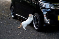 思いっきり・・・・・