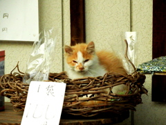 100円？