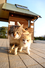 父ちゃん大好き。