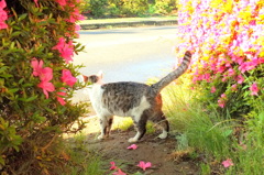 父ちゃん警戒中