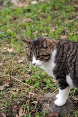 ちどり公園09-12-13  K200D 010