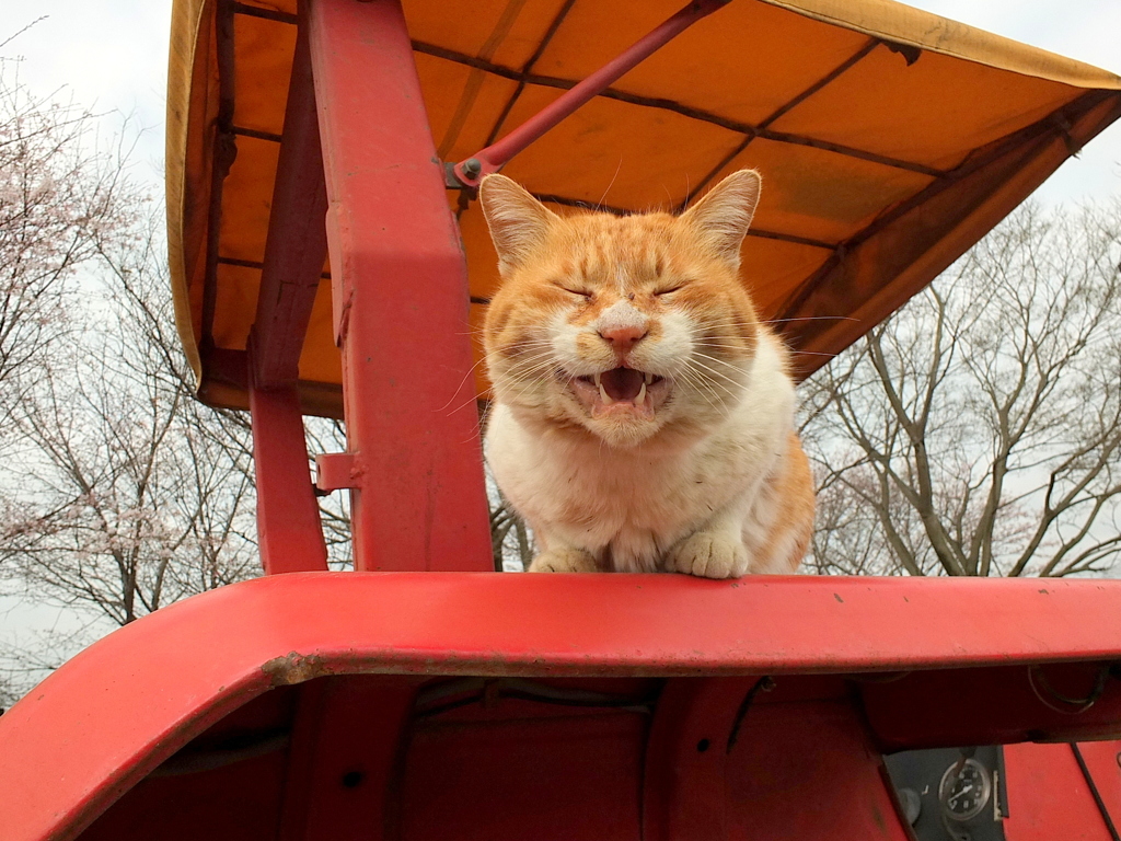 な～～～お！